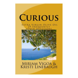 Photo of front of the book titled Curious by Miriam Vigoa & Kristi Linebaugh